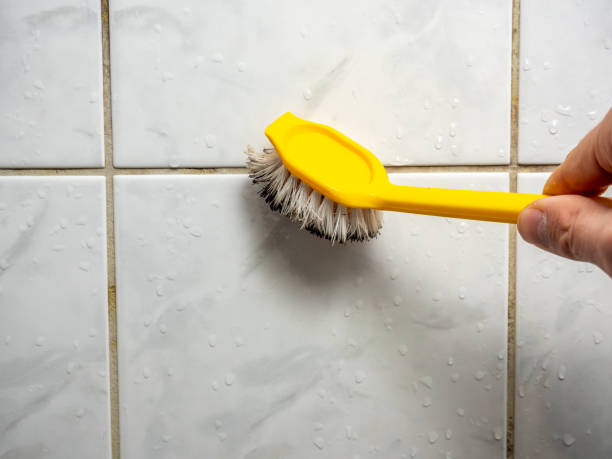 Best Residential Mold Removal  in Alamae, NC