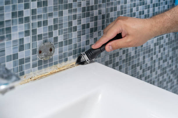Best Attic Mold Removal  in Alamae, NC